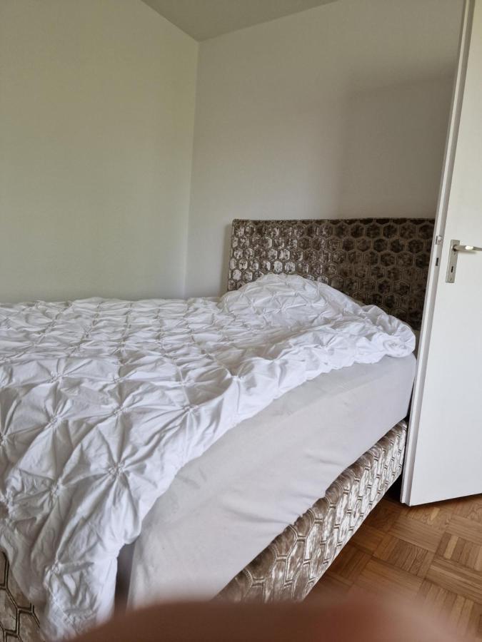 Am Stadtpark Mit Parkplatz 1Zkb 48Qm Oldenburg Eksteriør bilde